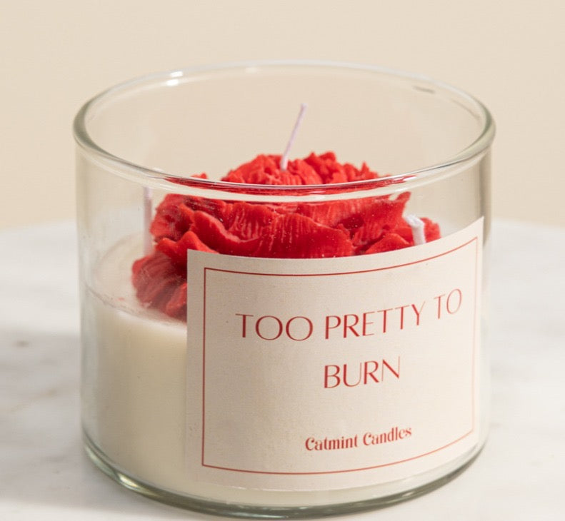 Too Pretty to Burn